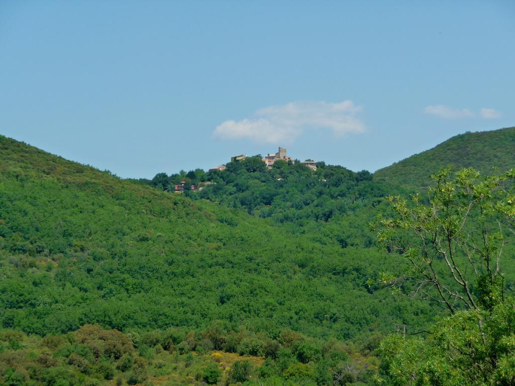 Chateau Olmet Lodève Zewnętrze zdjęcie